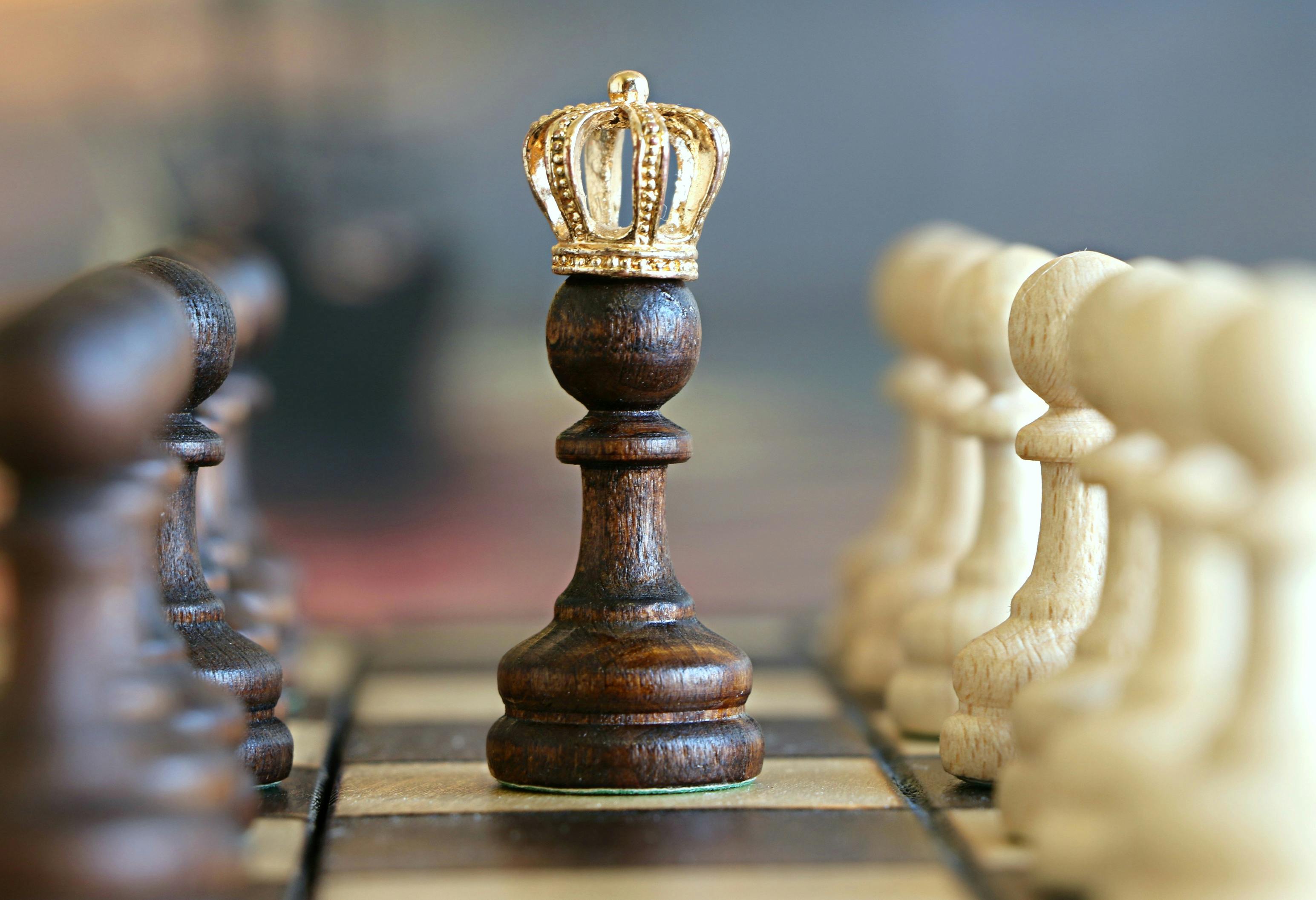 Leadership, Strategy & Certification